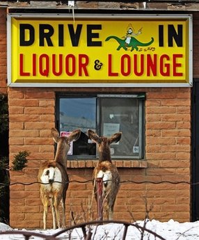 Deers gettin' drunkie